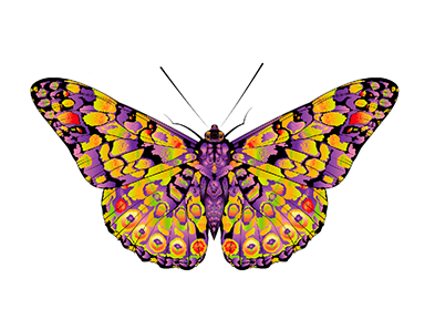 Donate at Every Stage